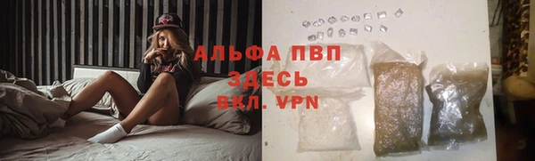 крисы Ростов