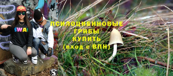 2c-b Михайловка
