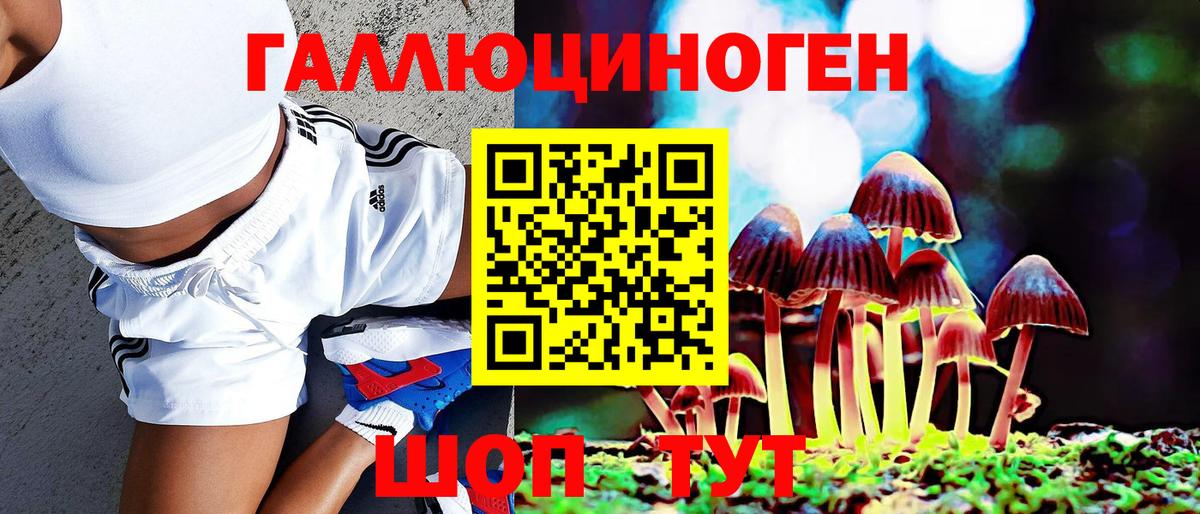 Псилоцибиновые грибы мицелий Новомосковск