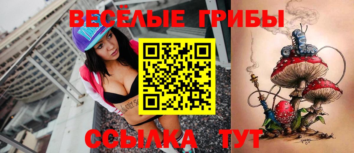 Псилоцибиновые грибы Cubensis  Галлюциногенные грибы мицелий  Новомосковск 