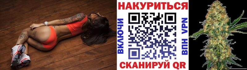 Каннабис OG Kush  Новомосковск 
